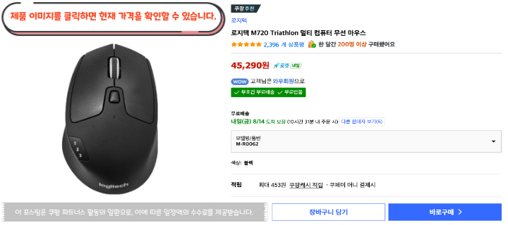 10 로지텍