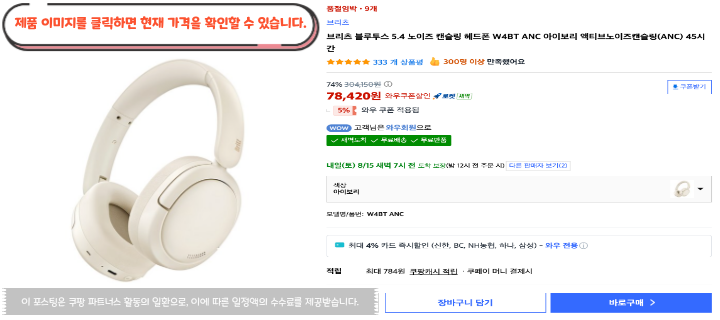 13 브리츠