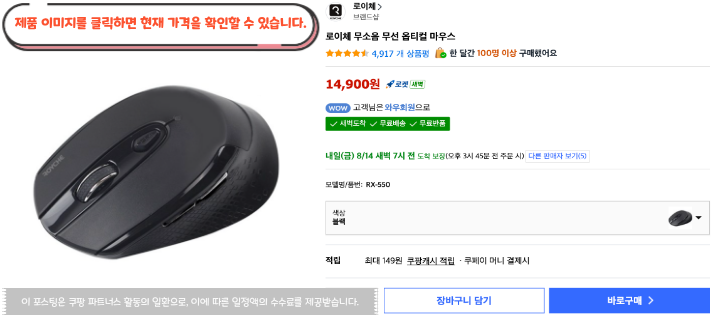 9 로이체