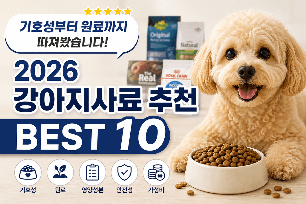 사료 유목민이라면 여기서 비교해보세요|2026 강아지사료 추천 BEST 10 11 강아지사료 썸네일