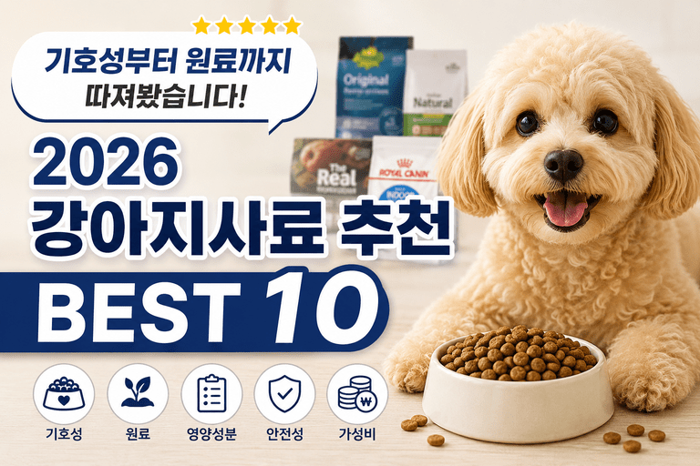 사료 유목민이라면 여기서 비교해보세요｜2026 강아지사료 추천 BEST 10