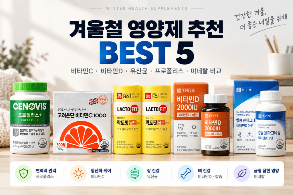 겨울만 되면 영양제가 고민이라면? 겨울철 영양제 추천 BEST 5｜비타민C·D·유산균 비교 제품 이미지