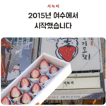 서녹씨 모찌 상세페이지5